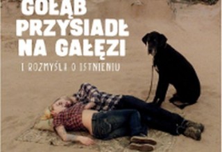Gołąb